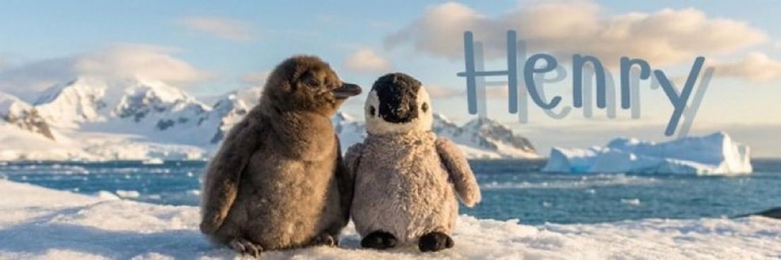 Henry the fairy penguin banner